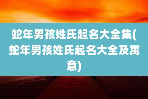 蛇年男孩姓氏起名大全集(蛇年男孩姓氏起名大全及寓意)