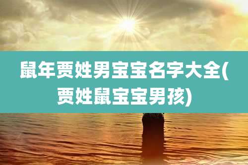 鼠年贾姓男宝宝名字大全(贾姓鼠宝宝男孩)