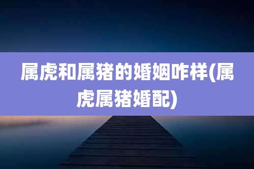 属虎和属猪的婚姻咋样(属虎属猪婚配)