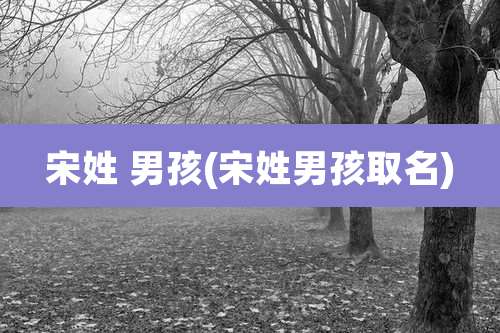 宋姓 男孩(宋姓男孩取名)
