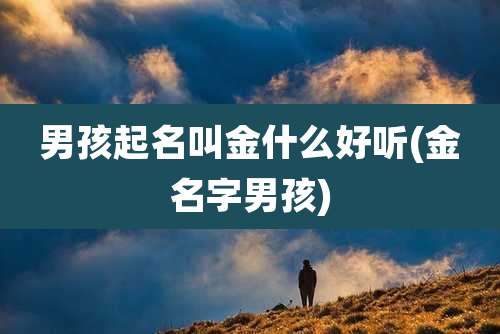 男孩起名叫金什么好听(金名字男孩)