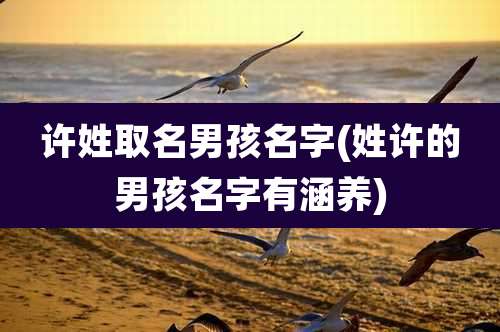 许姓取名男孩名字(姓许的男孩名字有涵养)