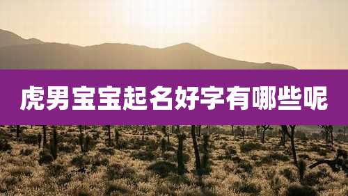 虎男宝宝起名好字有哪些呢