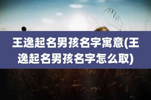 王逸起名男孩名字寓意(王逸起名男孩名字怎么取)