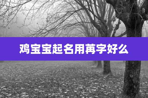 鸡宝宝起名用苒字好么