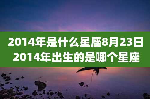 2014年是什么星座8月23日 2014年出生的是哪个星座