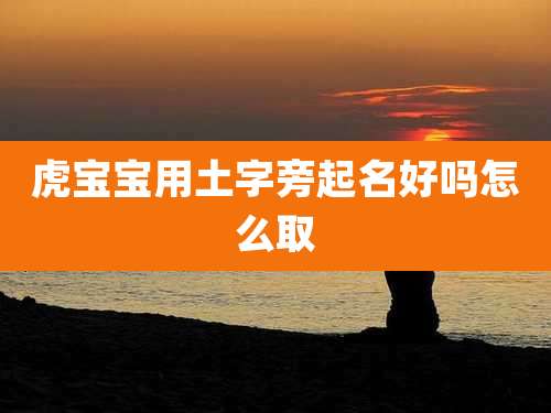 虎宝宝用土字旁起名好吗怎么取