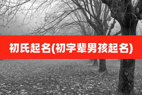 初氏起名(初字辈男孩起名)