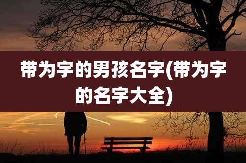 带为字的男孩名字(带为字的名字大全)