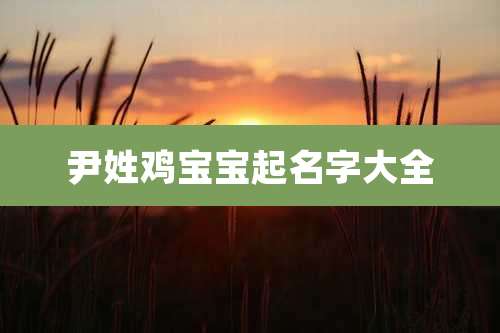 尹姓鸡宝宝起名字大全