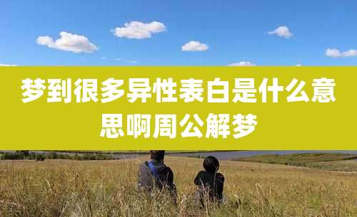 梦到很多异性表白是什么意思啊周公解梦