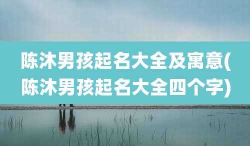 陈沐男孩起名大全及寓意(陈沐男孩起名大全四个字)