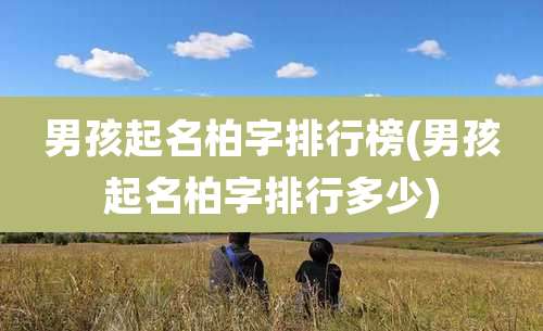 男孩起名柏字排行榜(男孩起名柏字排行多少)