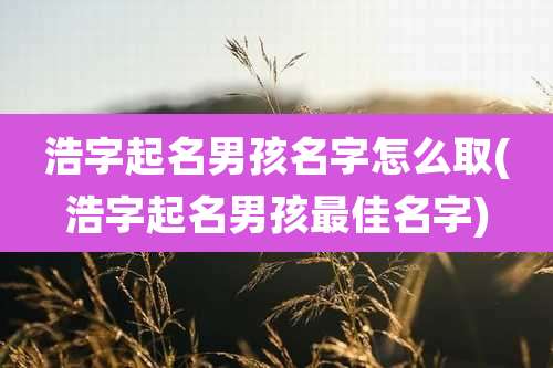 浩字起名男孩名字怎么取(浩字起名男孩最佳名字)