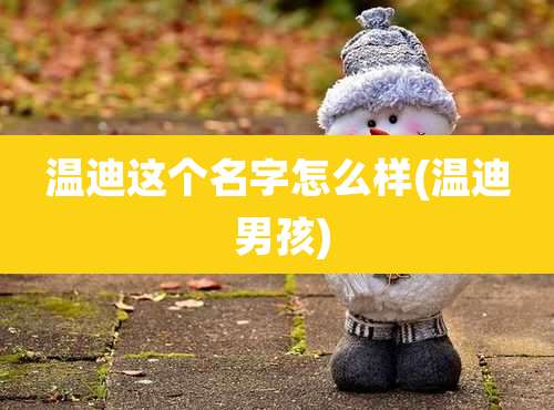 温迪这个名字怎么样(温迪 男孩)