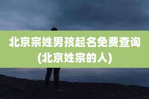 北京宗姓男孩起名免费查询(北京姓宗的人)