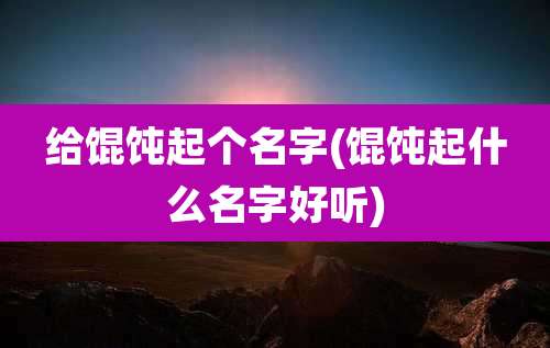 给馄饨起个名字(馄饨起什么名字好听)