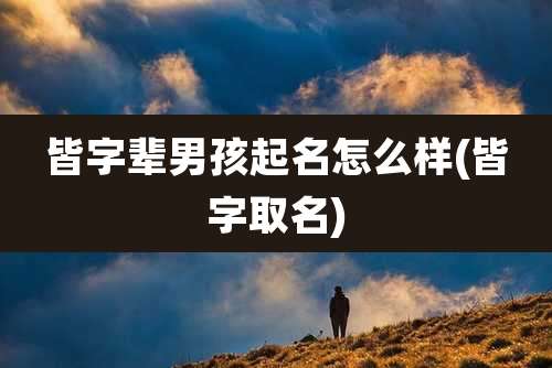 皆字辈男孩起名怎么样(皆字取名)