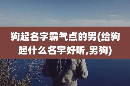 狗起名字霸气点的男(给狗起什么名字好听,男狗)