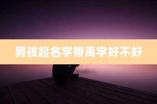 男孩起名字带禹字好不好
