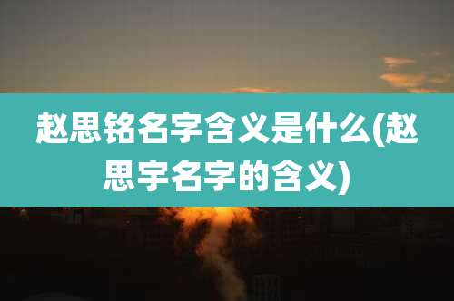 赵思铭名字含义是什么(赵思宇名字的含义)
