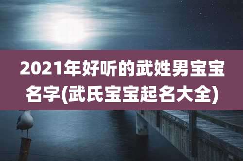 2021年好听的武姓男宝宝名字(武氏宝宝起名大全)