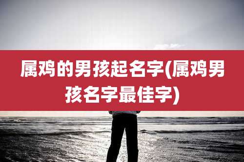 属鸡的男孩起名字(属鸡男孩名字最佳字)