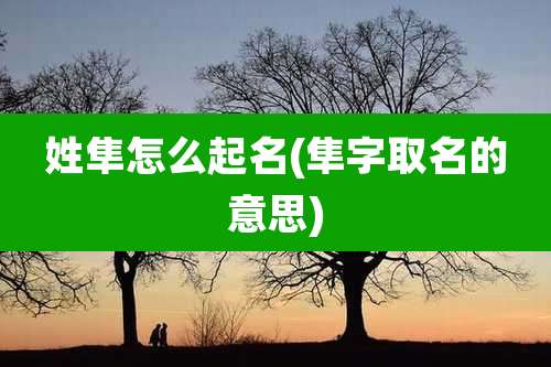 姓隼怎么起名(隼字取名的意思)