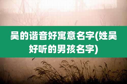 吴的谐音好寓意名字(姓吴好听的男孩名字)