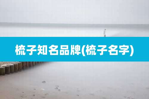 梳子知名品牌(梳子名字)