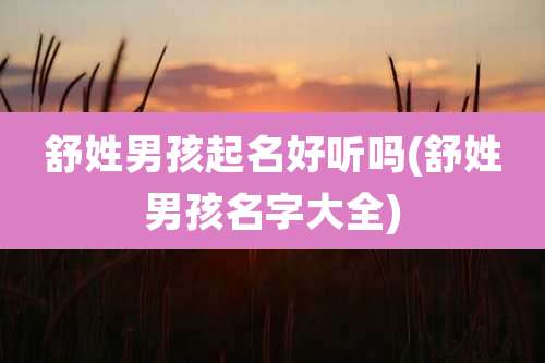 舒姓男孩起名好听吗(舒姓男孩名字大全)
