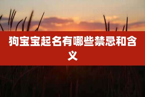 狗宝宝起名有哪些禁忌和含义