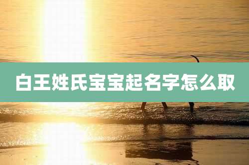白王姓氏宝宝起名字怎么取