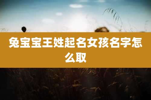 兔宝宝王姓起名女孩名字怎么取