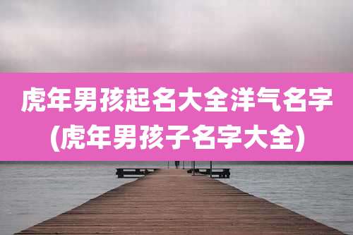 虎年男孩起名大全洋气名字(虎年男孩子名字大全)
