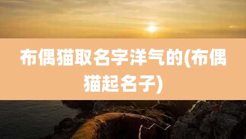 布偶猫取名字洋气的(布偶猫起名子)