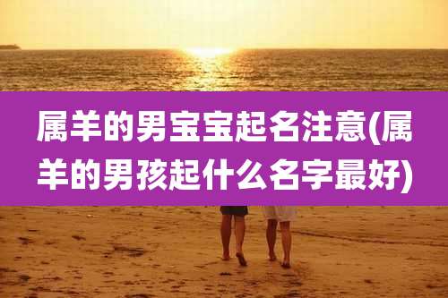 属羊的男宝宝起名注意(属羊的男孩起什么名字最好)