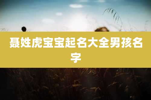 聂姓虎宝宝起名大全男孩名字