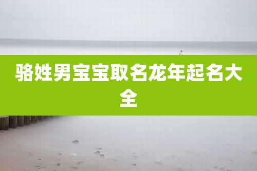 骆姓男宝宝取名龙年起名大全