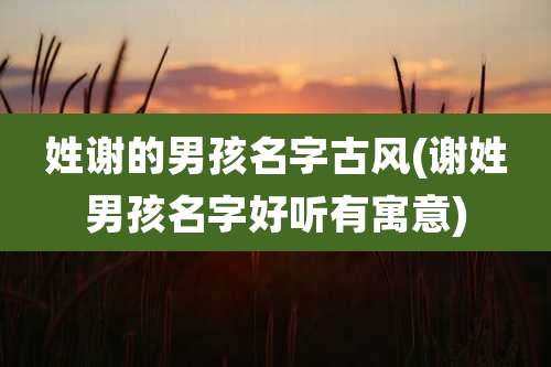 姓谢的男孩名字古风(谢姓男孩名字好听有寓意)