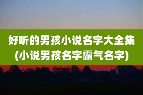 好听的男孩小说名字大全集(小说男孩名字霸气名字)