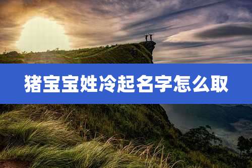 猪宝宝姓冷起名字怎么取