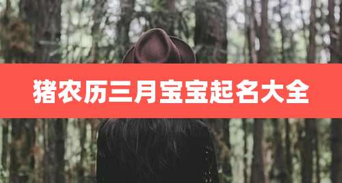 猪农历三月宝宝起名大全