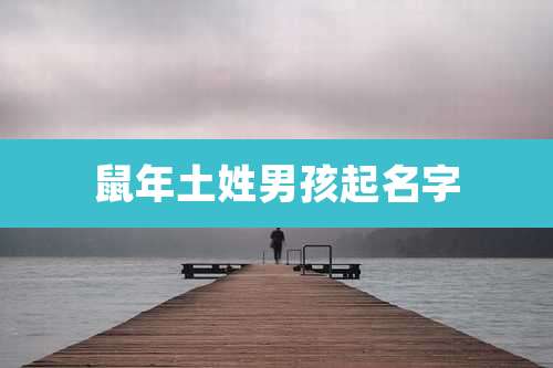 鼠年土姓男孩起名字