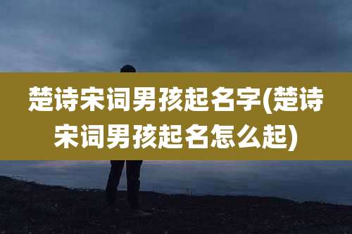 楚诗宋词男孩起名字(楚诗宋词男孩起名怎么起)
