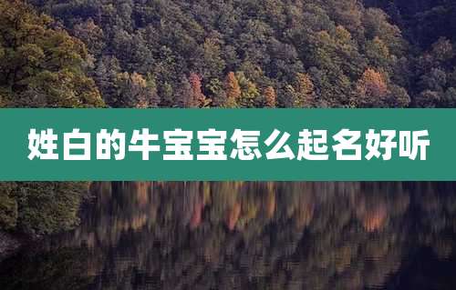 姓白的牛宝宝怎么起名好听
