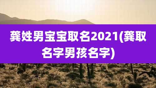 龚姓男宝宝取名2021(龚取名字男孩名字)