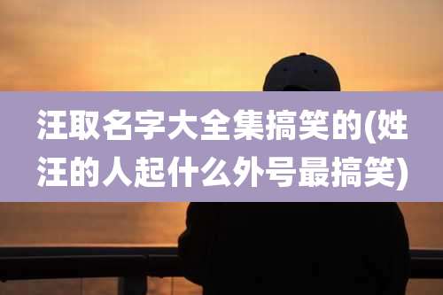 汪取名字大全集搞笑的(姓汪的人起什么外号最搞笑)