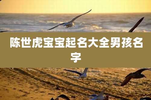 陈世虎宝宝起名大全男孩名字