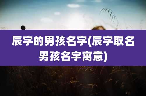 辰字的男孩名字(辰字取名男孩名字寓意)